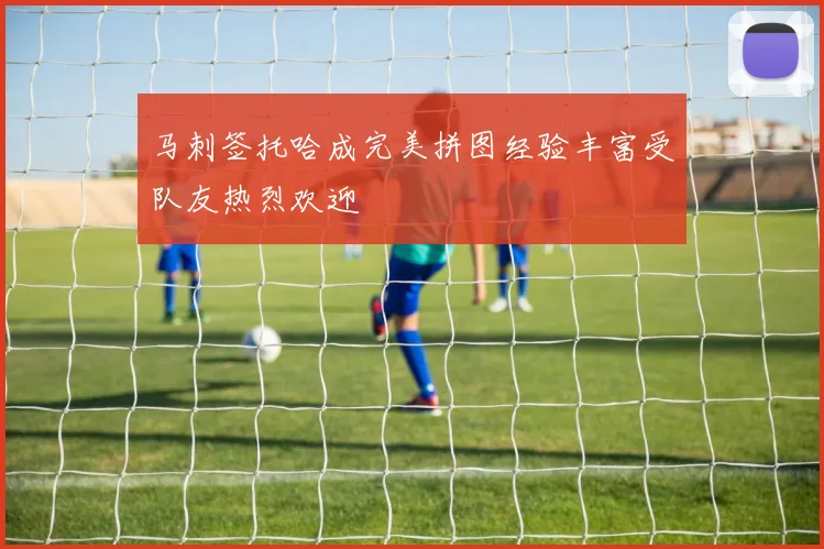 马刺签托哈成完美拼图经验丰富受队友热烈欢迎